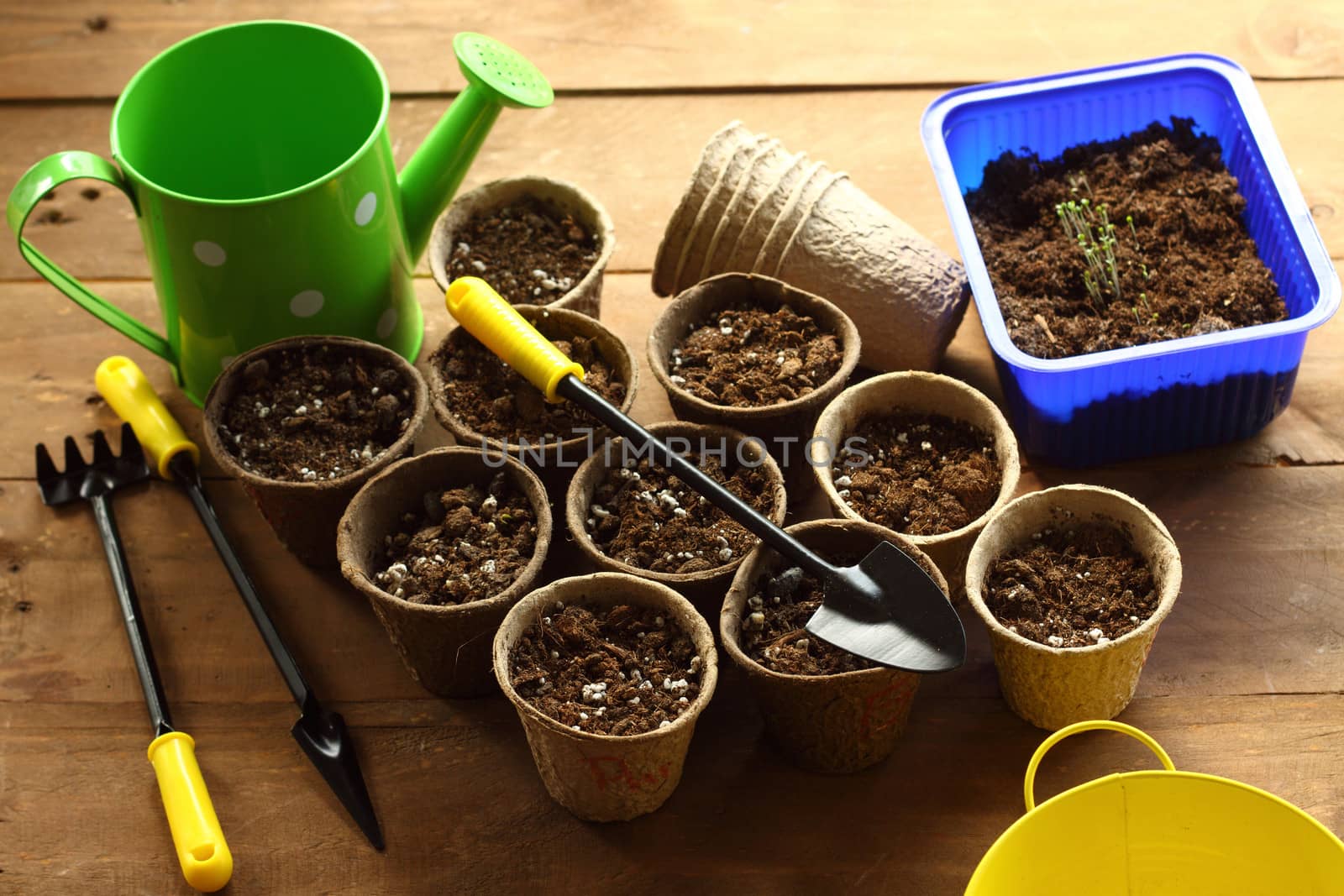 preparation for planting- watering can, pots, garden tools