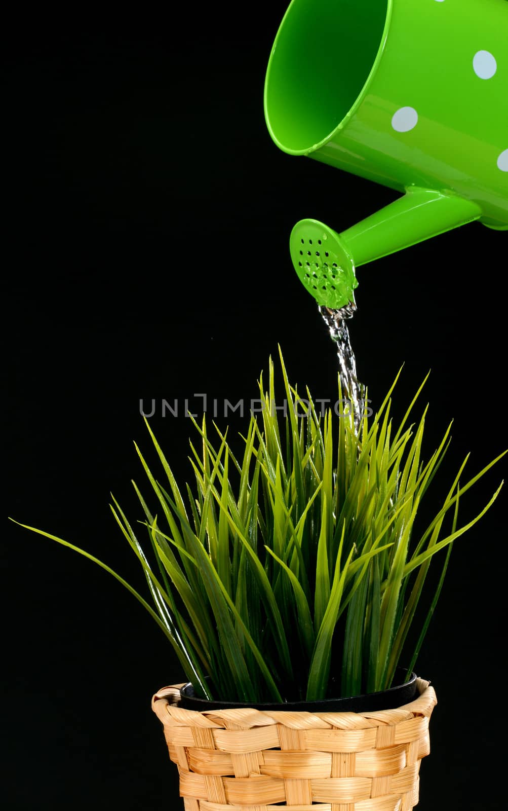 grass and watering can on black background