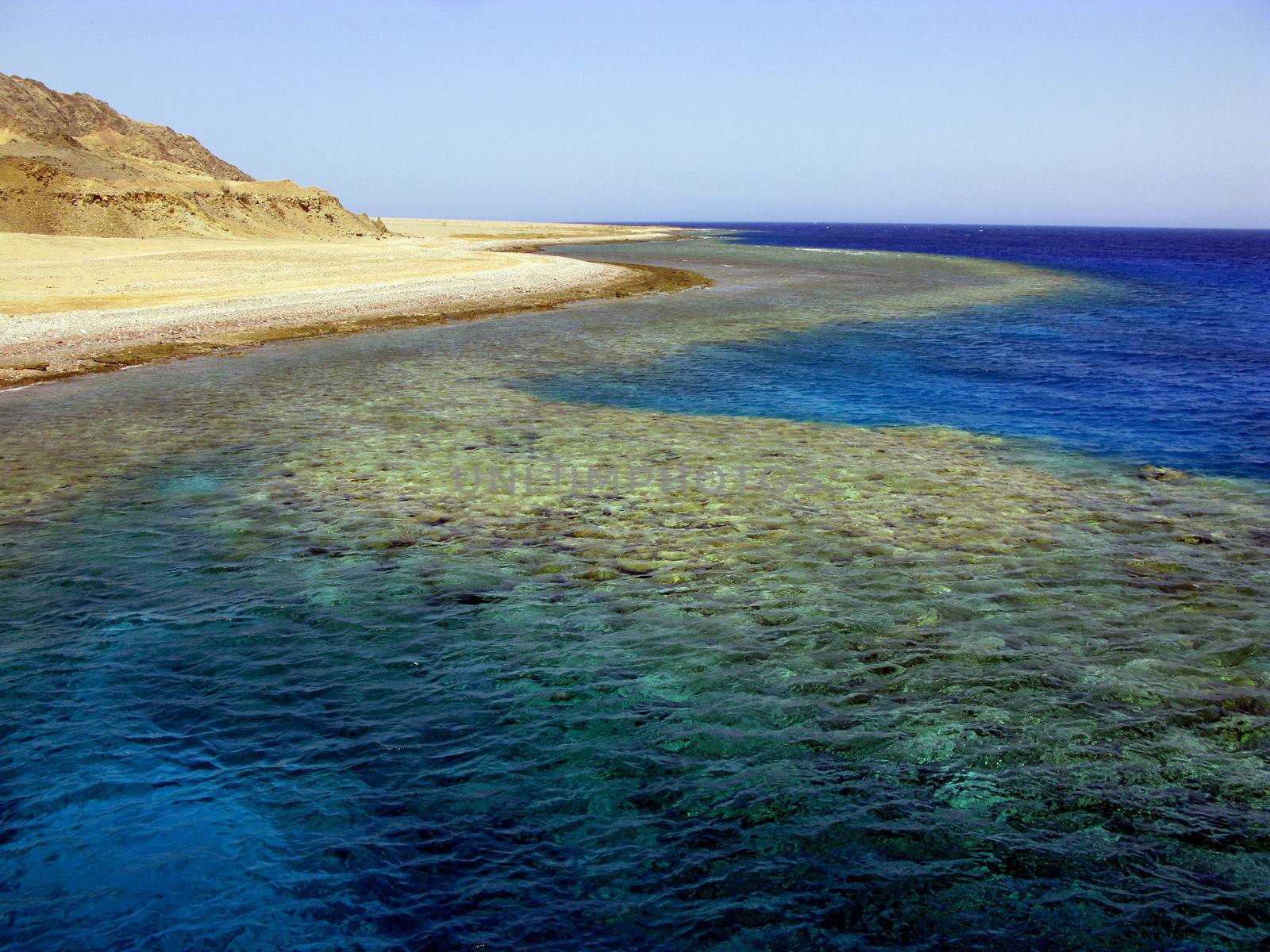 view of sea with coral reef under a surface of water