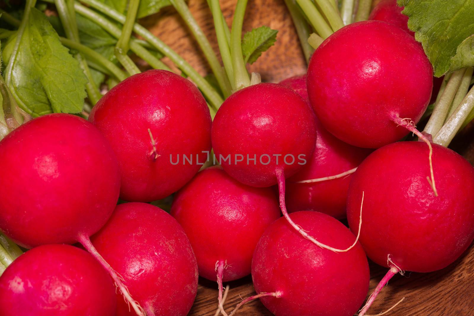 bundle of red radishes - closeup