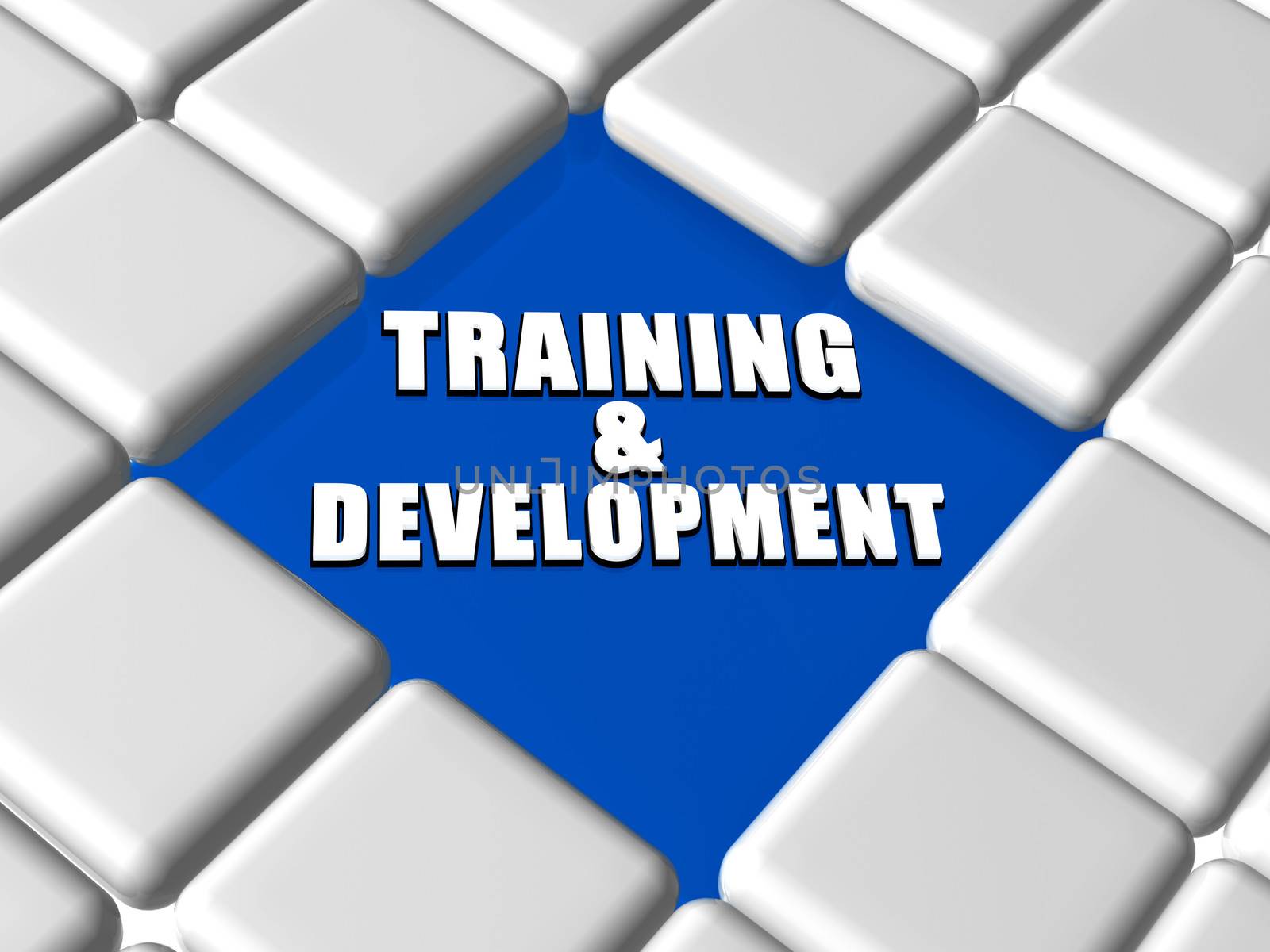 training and development in boxes by marinini