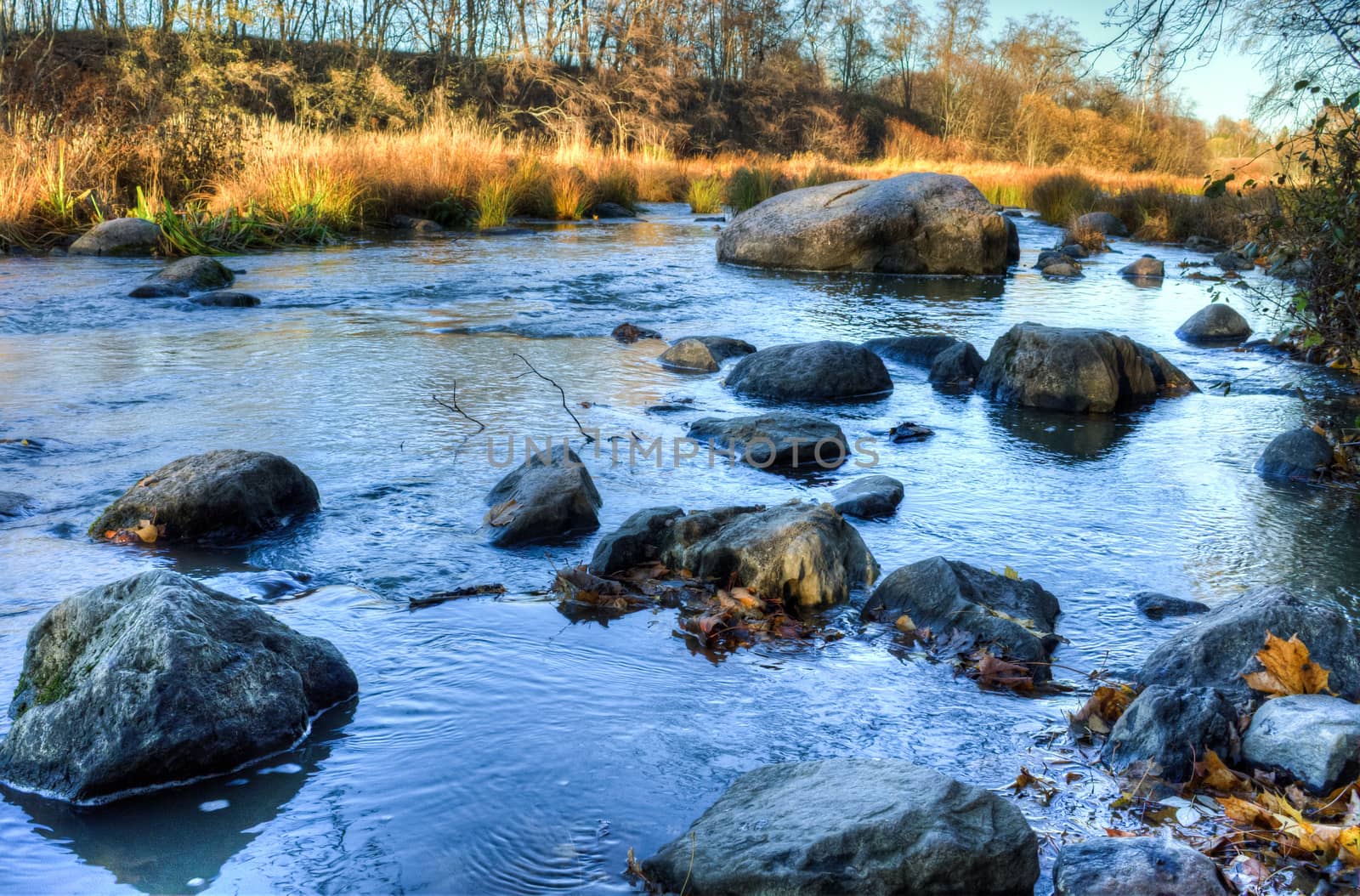 Autumn river landscape with rocks and leaves