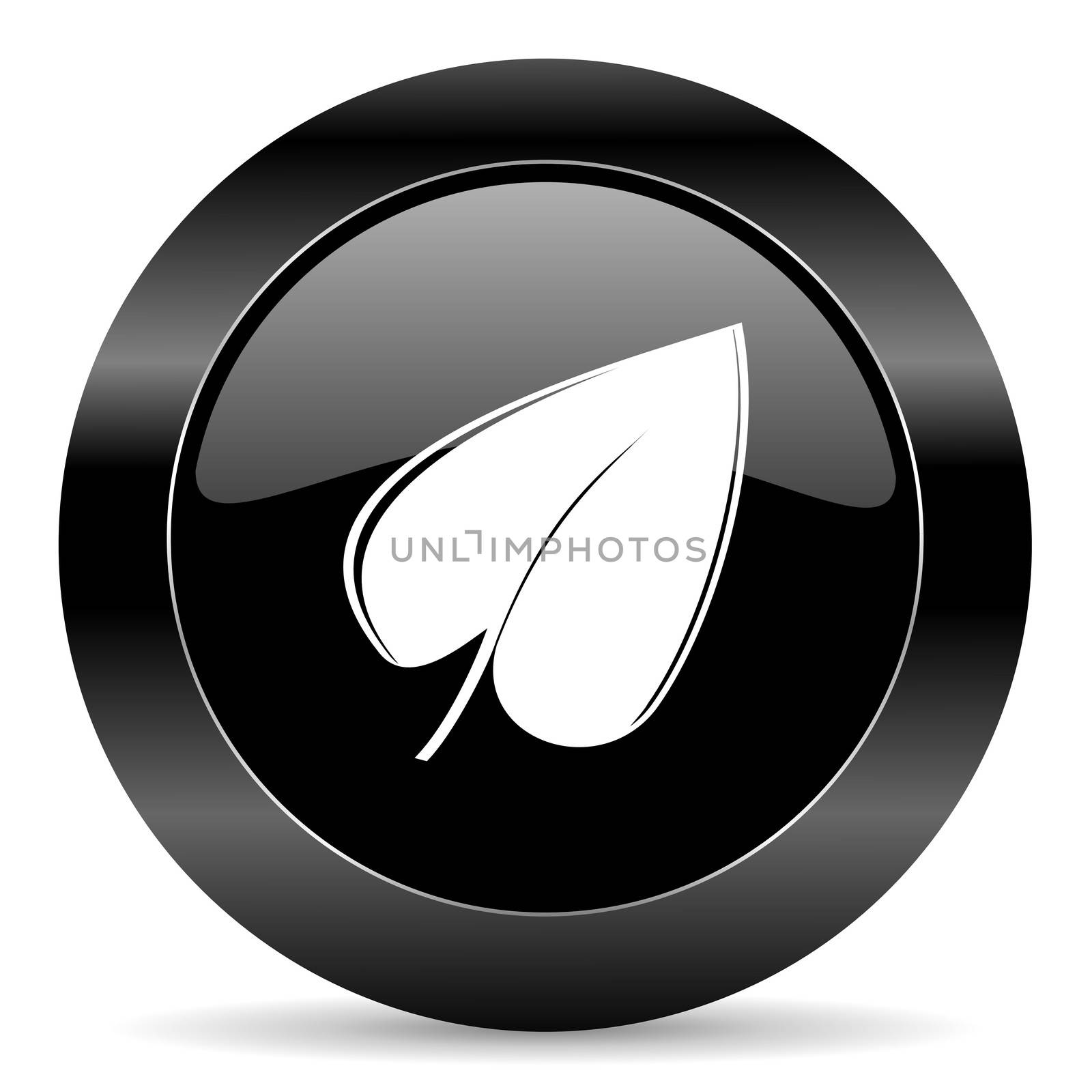 black circle web button on white background