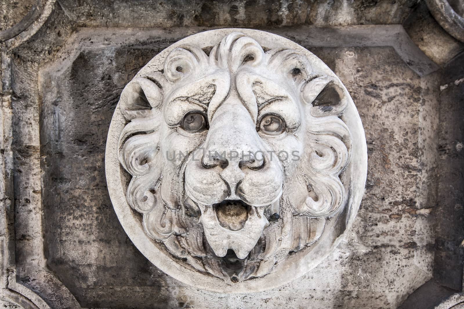 Decoriative lion head wall sculpture.