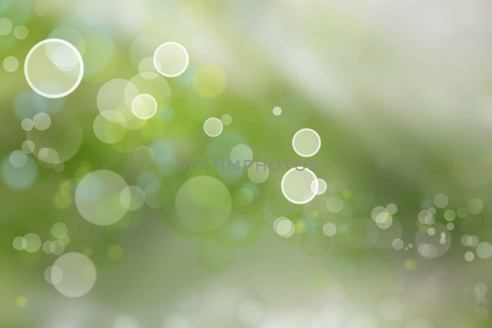 Circles on green tone background