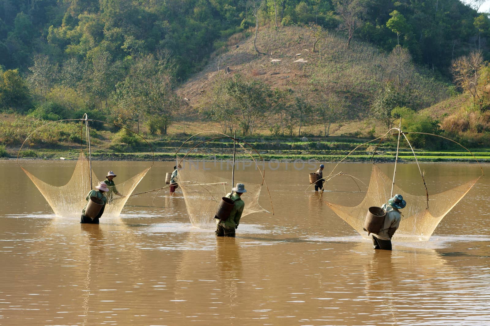 BUON ME THUOT, VIETNAM- FEB 7: People catch fish on ditch, fisherman lifting net from water, lift net is primitive traditional tool, include net, rod, four corner hang up 4 frame, Vietnam, Feb 7, 2014