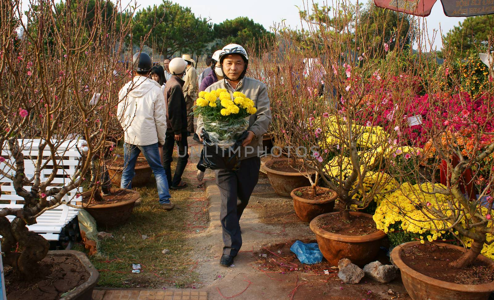 DALAT, VIETNAM- JAN 26: People pleaed when choice flowerpot at open air farmer market, flower in pot, blossom bright, beauty in springtime, person has habit buy flower, Viet Nam, Jan 26, 2014