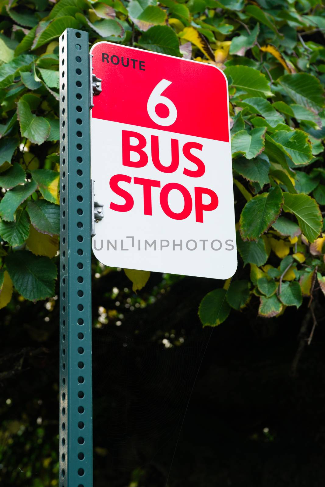 Bus Stop Route 6 Public Transit Downtown City Transportation by ChrisBoswell
