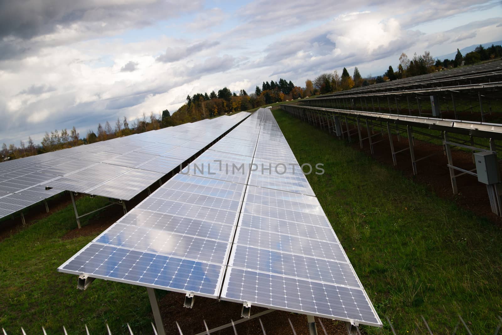 Large Bank Amorphous Solar Panels Green Renewable Energy Sun by ChrisBoswell
