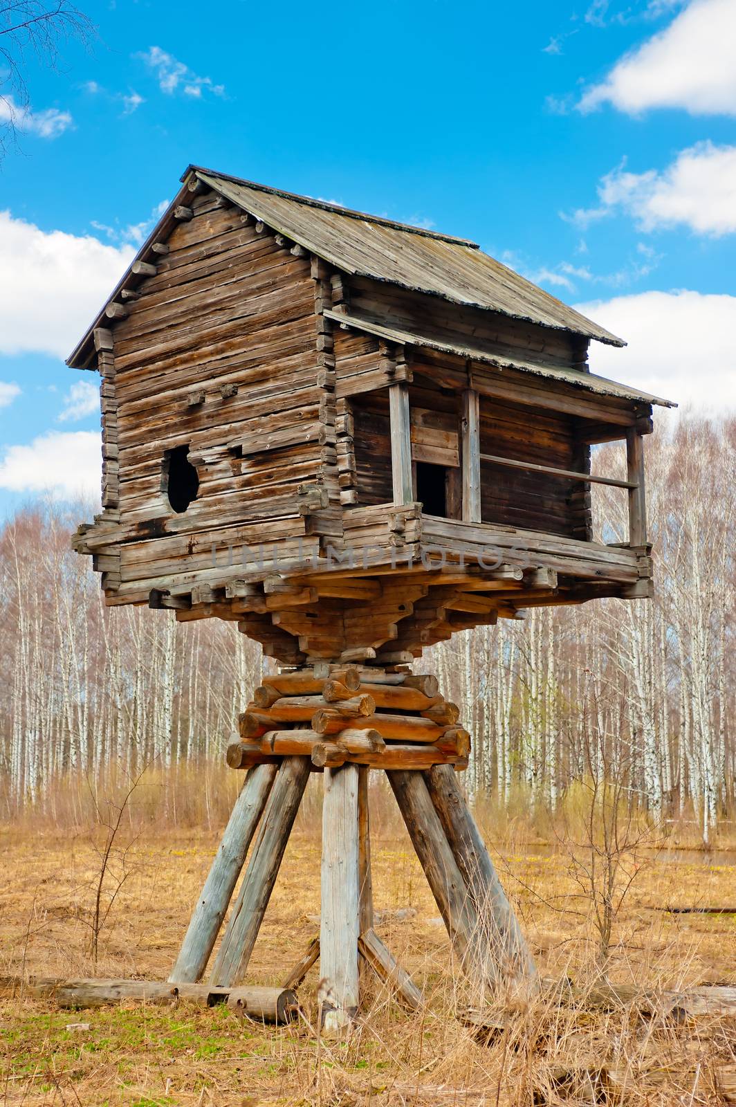 wooden house on poles in the field by kosmsos111