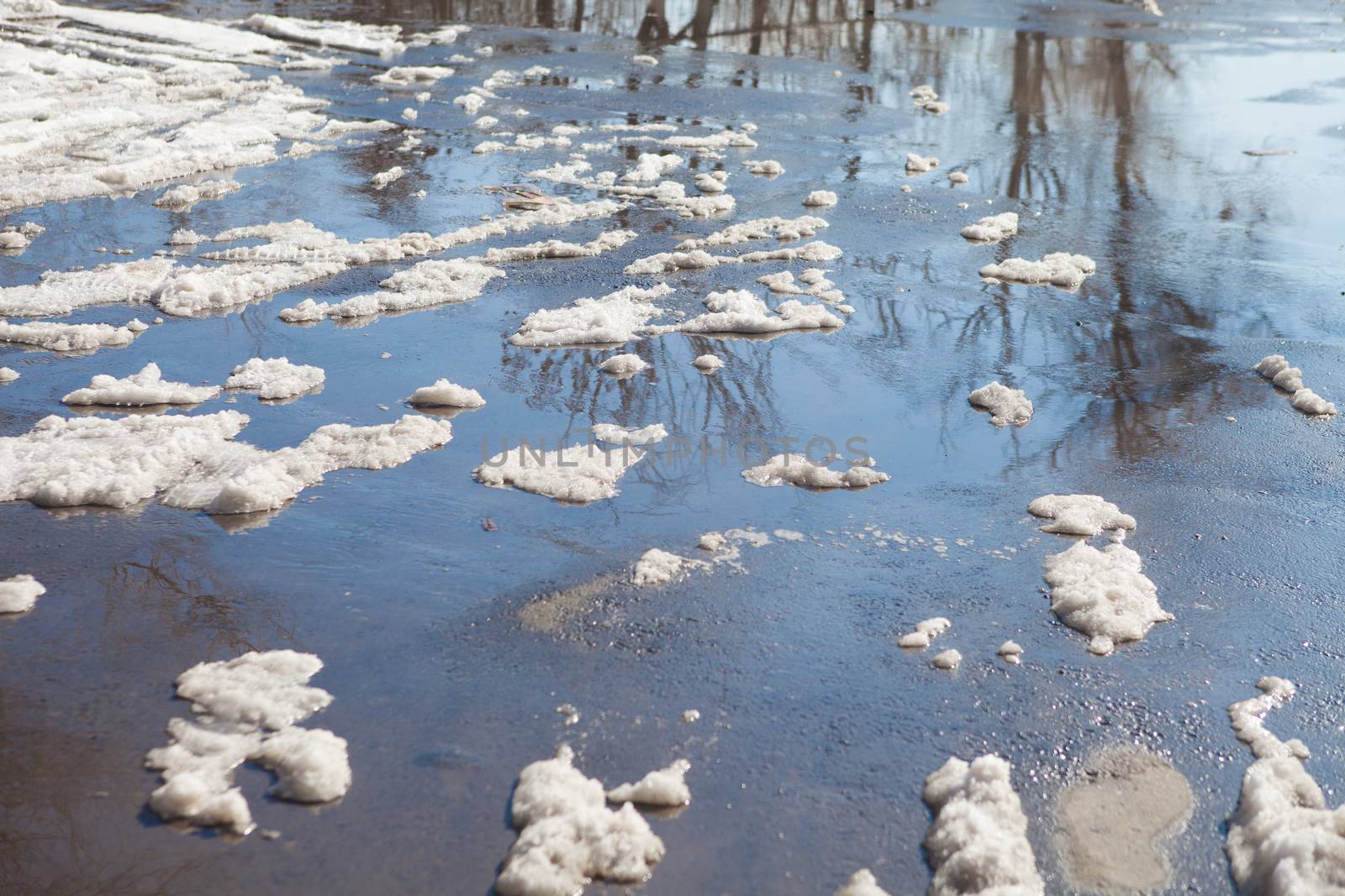 reflection of trees in spring puddle 