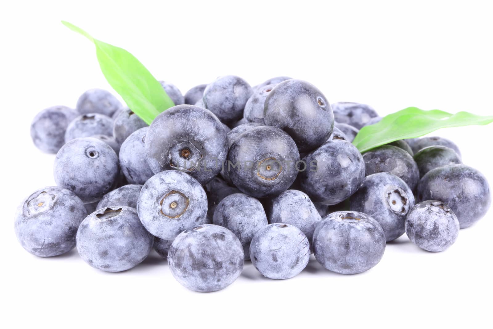 Fresh Blueberry close on white background