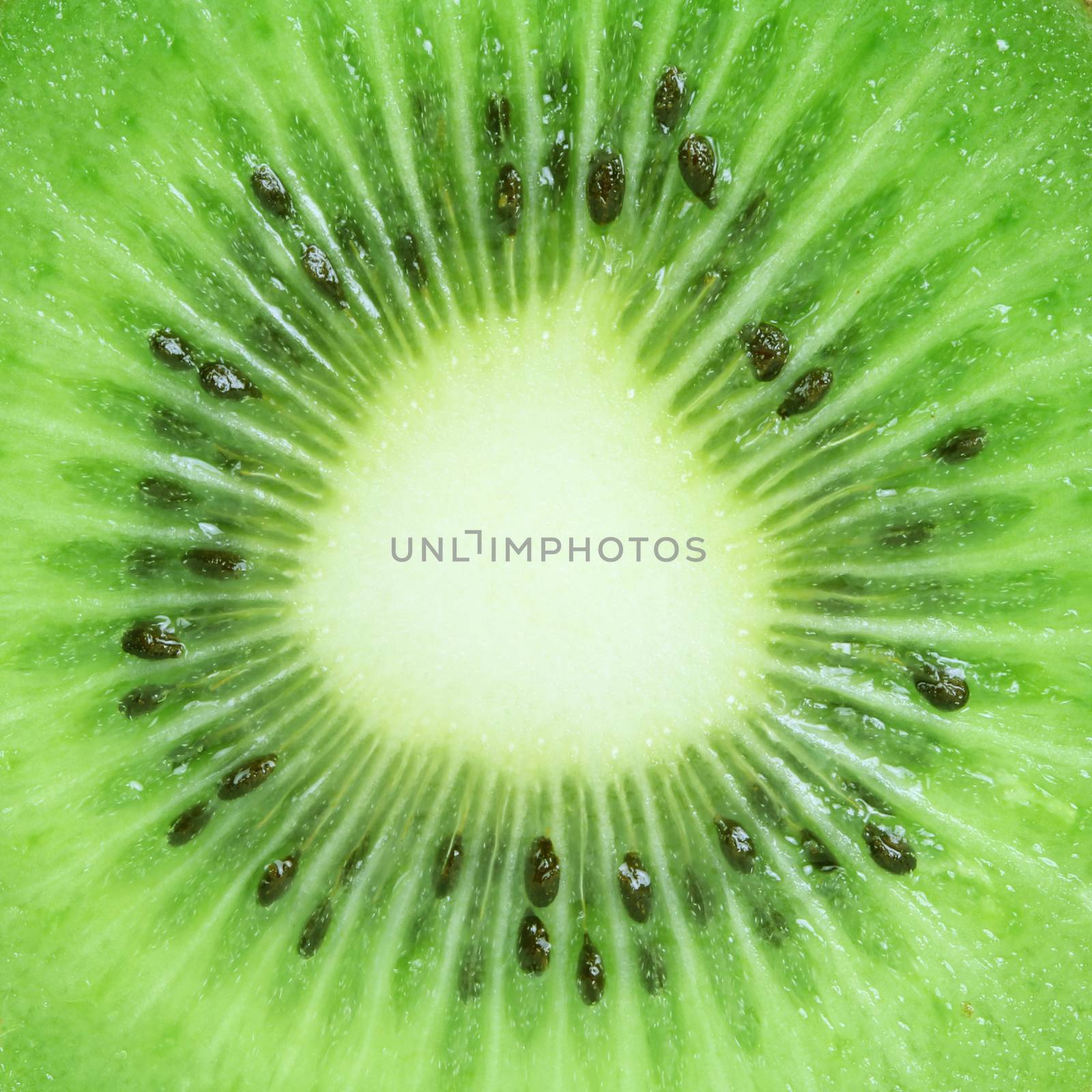 Macro kiwi fruit for background