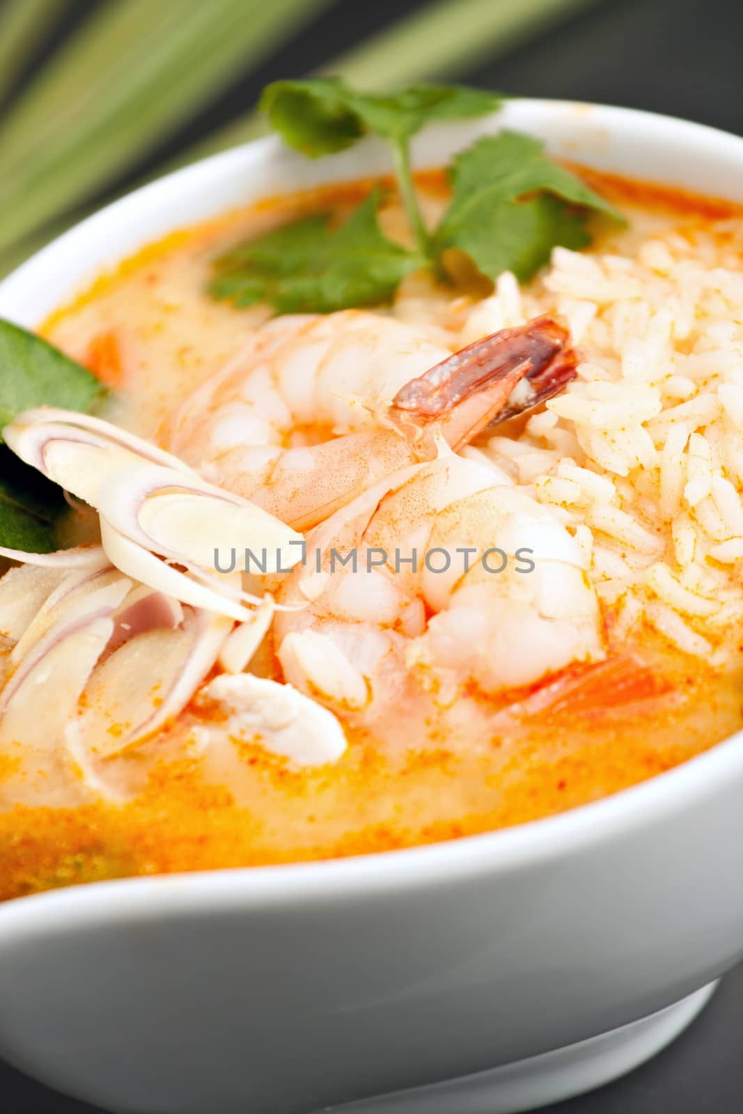 Thai Shrimp Soup with Rice by graficallyminded