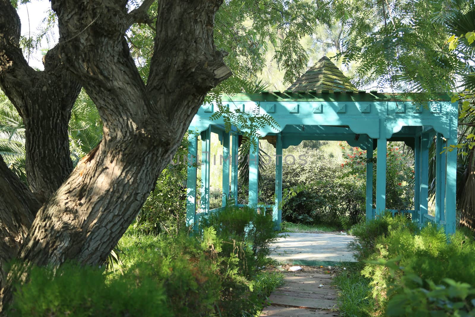 Summerhouse of blue color located in the park and surrounded by greenness