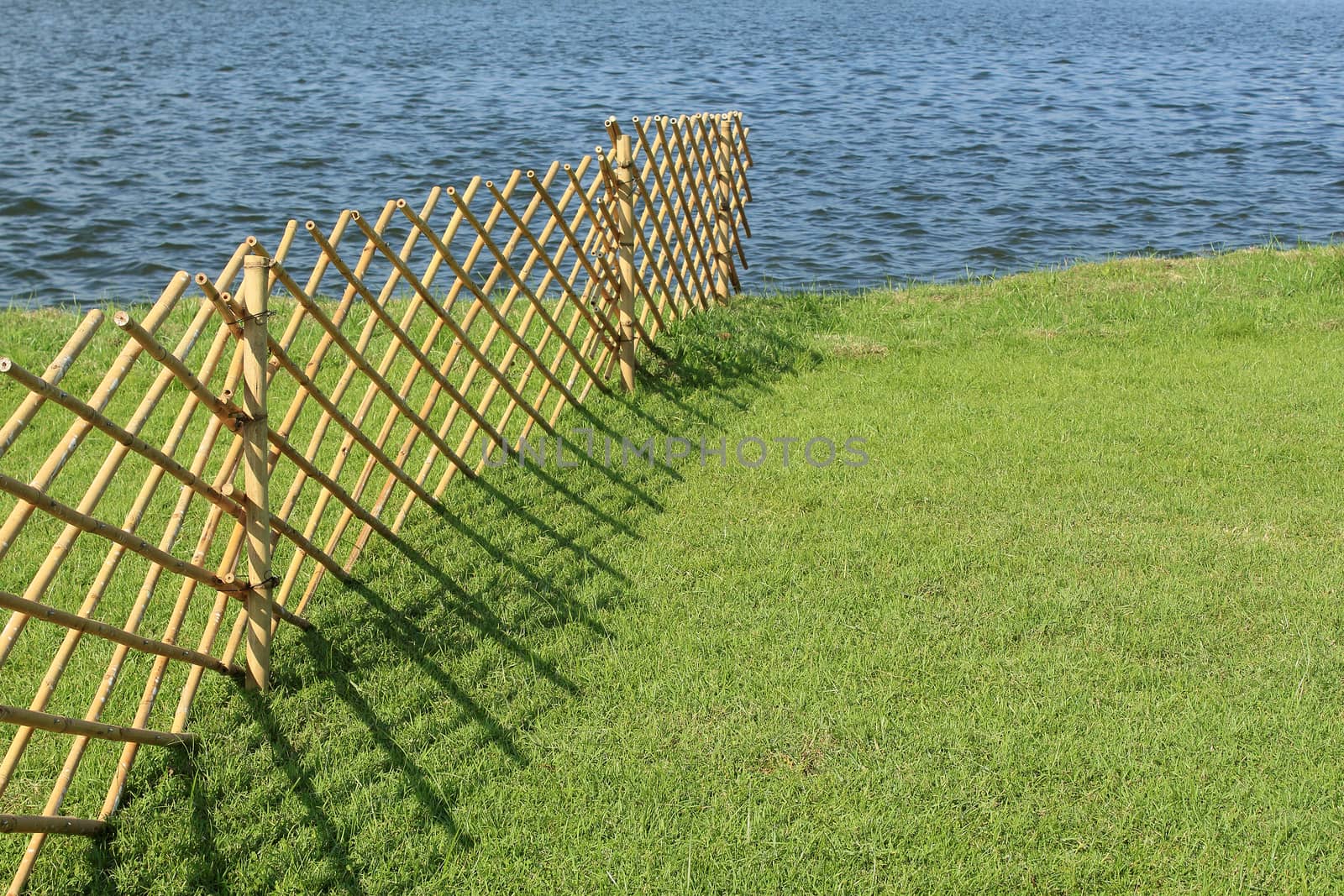 Bamboo fence in summertime, Thailand