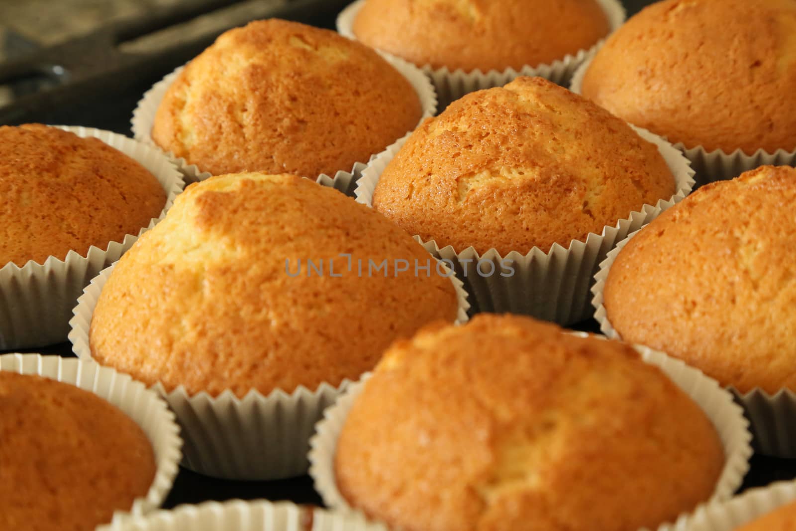 Muffins with vanilla flavour by tolikoff_photography