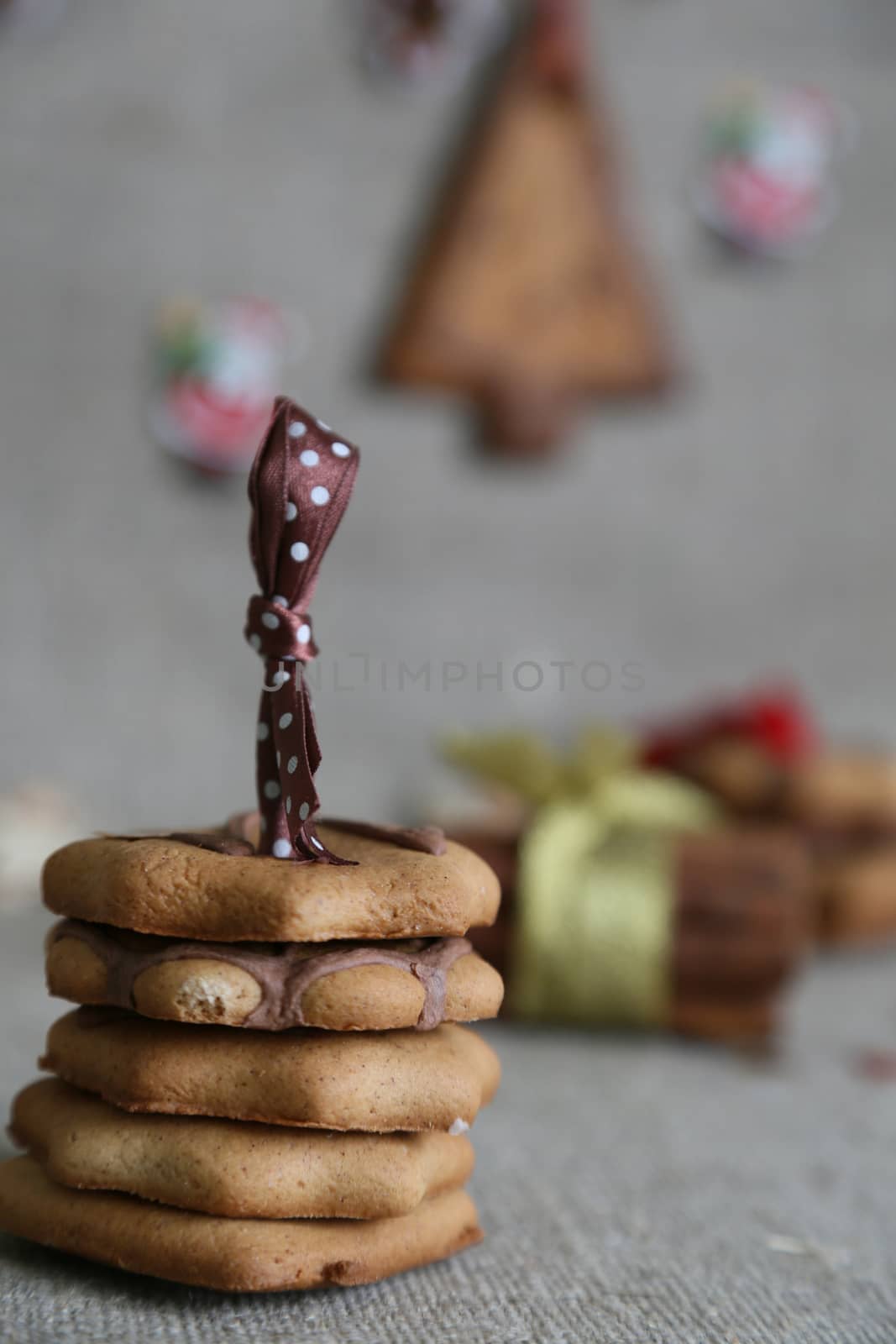 homemade christmas biscuits by tolikoff_photography