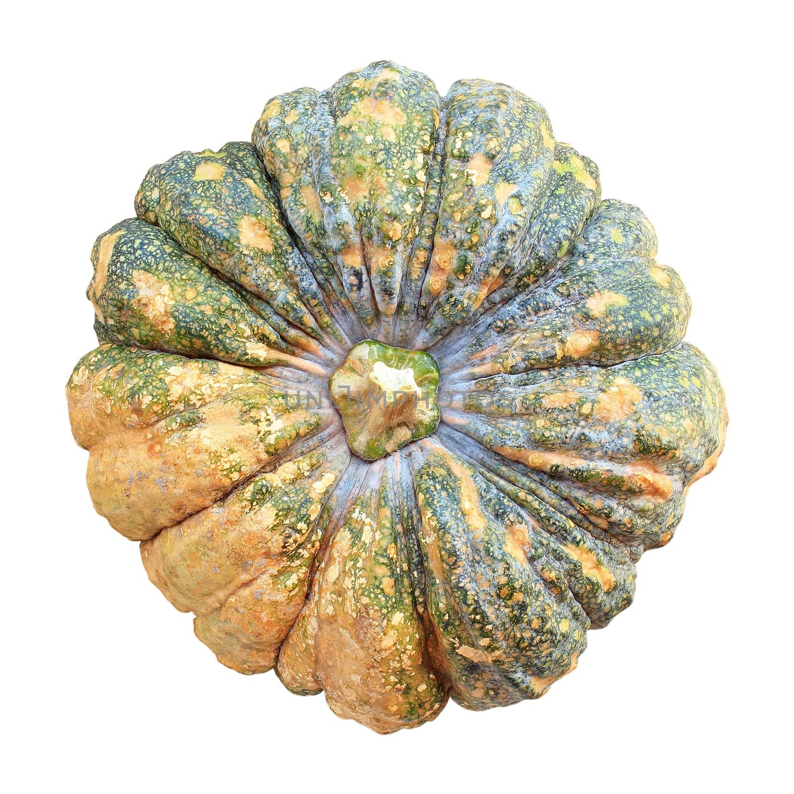 Pumpkin isolated on white