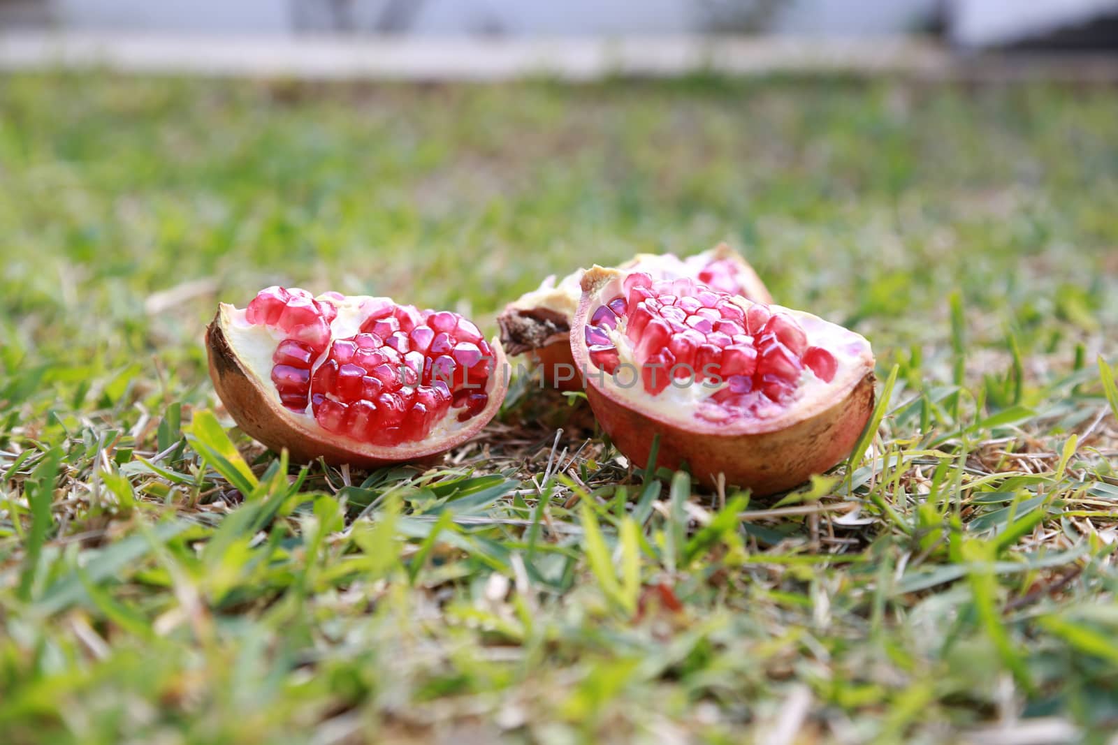 Three pieces of 1/4 of pomegranate are left in the garden