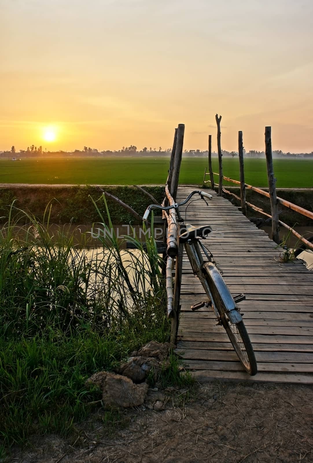 Beautiful landscape of nature with lovely orange sunset, bicycle put up on wooden fence, small wooden bridge across a river and in the distance is green rice field 