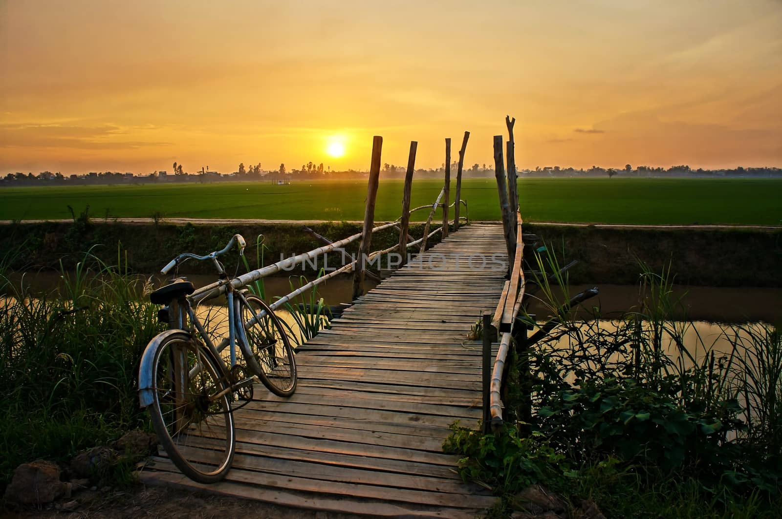 Beautiful landscape of nature with lovely orange sunset, bicycle put up on wooden fence, small wooden bridge across a river and in the distance is green rice field 