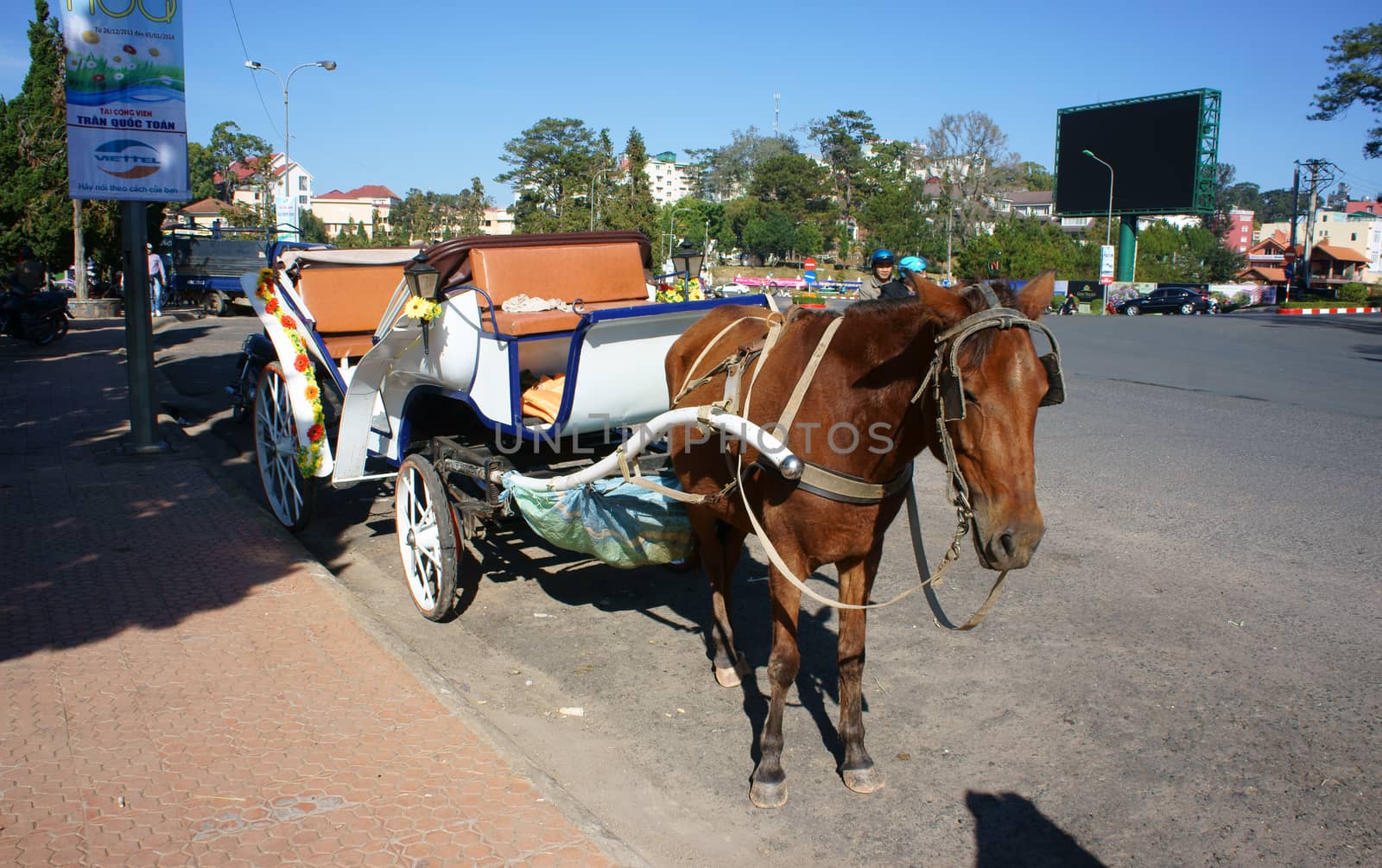 DA LAT, VIET NAM- DEC 28: Carriage ( cart) for travel (tour)  on street in sunny at Da Lat city IN Da Lat, VietNam on Dec 28, 2014
