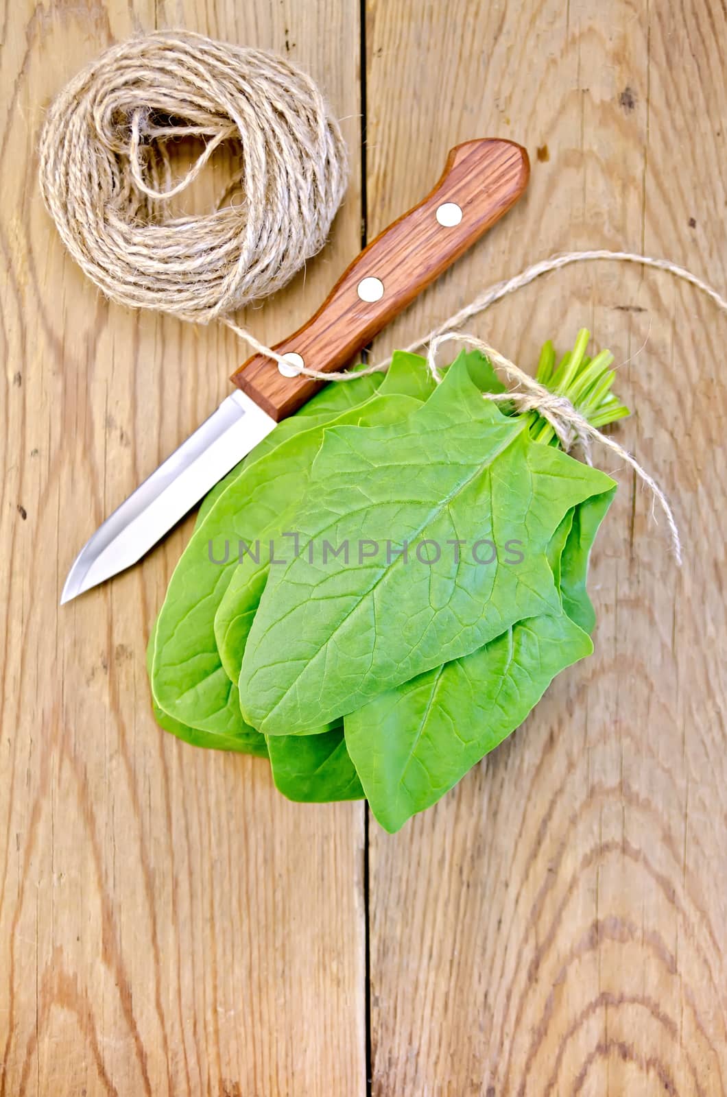 Bunch of green spinach, knife, twine on the background of wooden boards