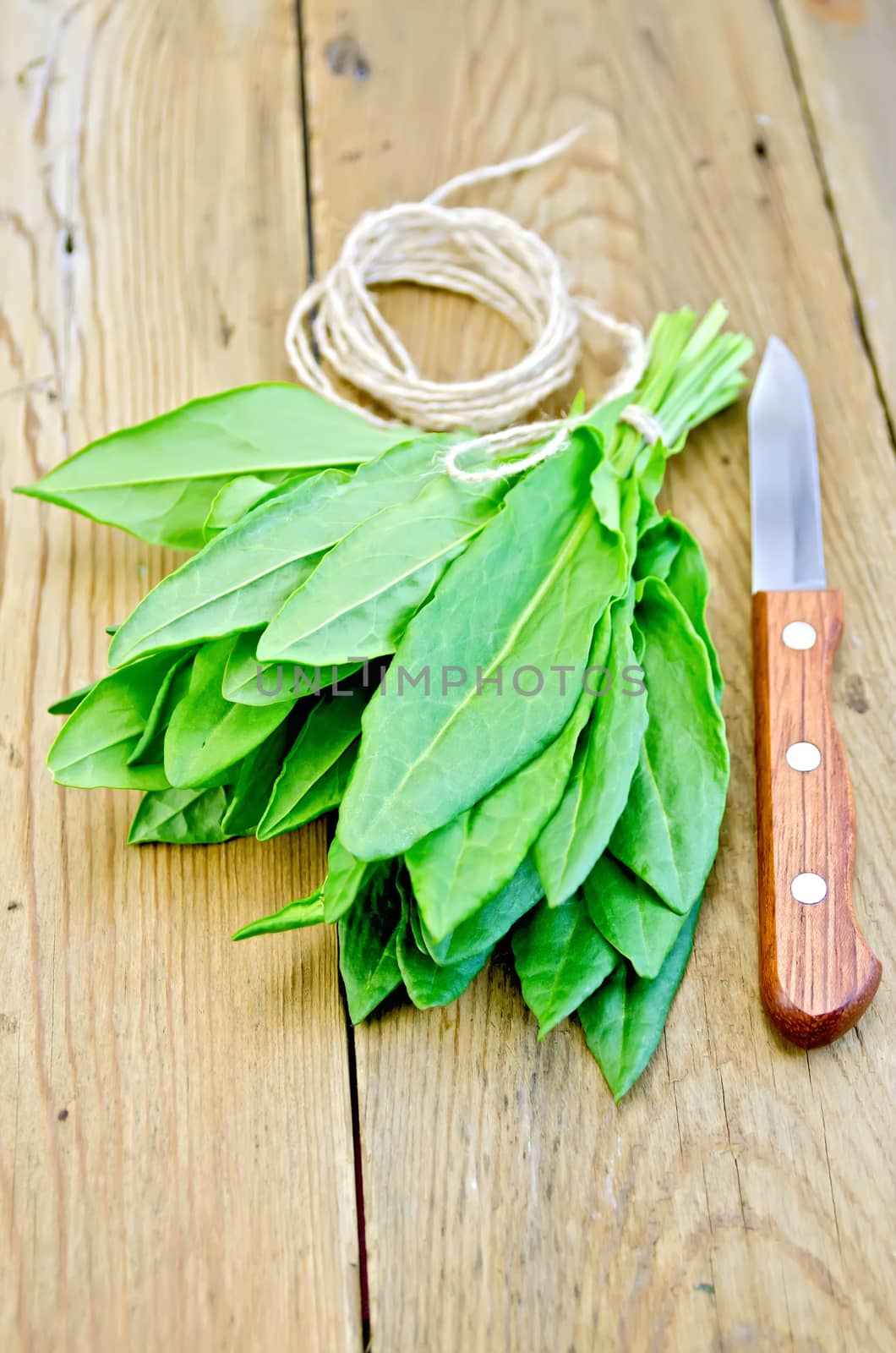 Bunch of green sorrel with knife and twine on the background of wooden boards