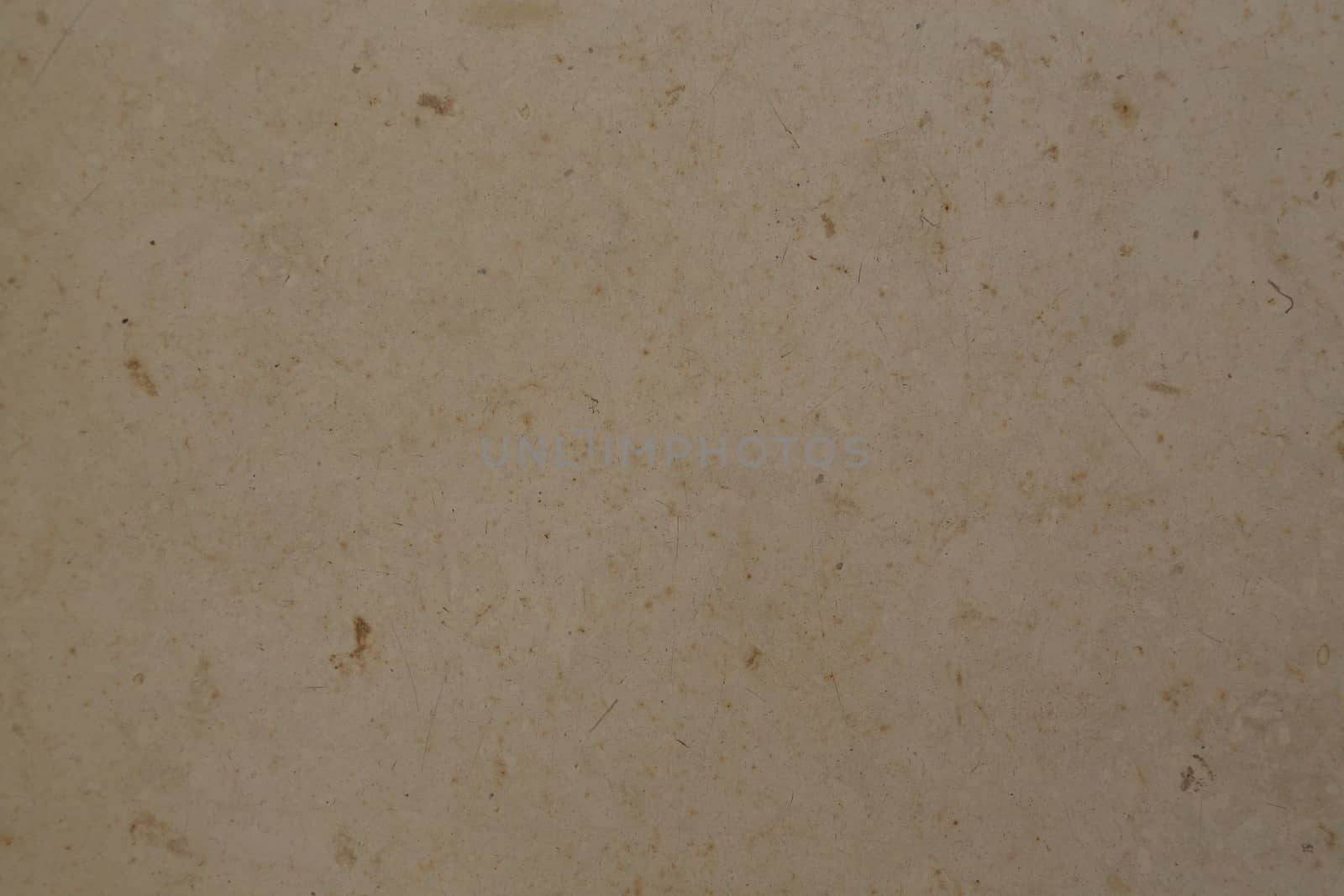Beige marble background by tolikoff_photography