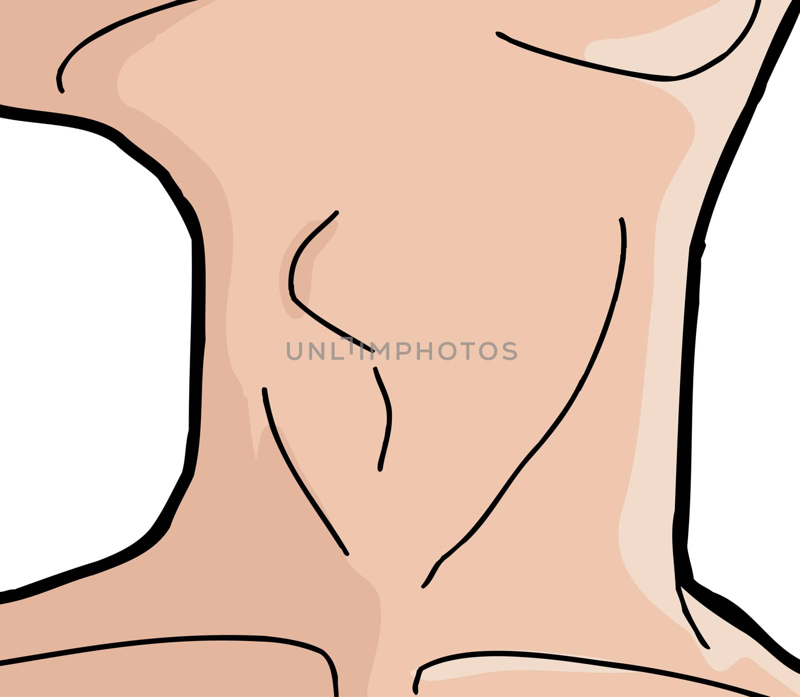 Close up of human neck and larynx over white background