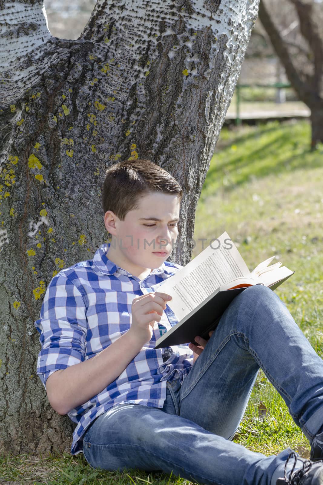 Young boy reading a book in the woods with shallow depth of field and copy space