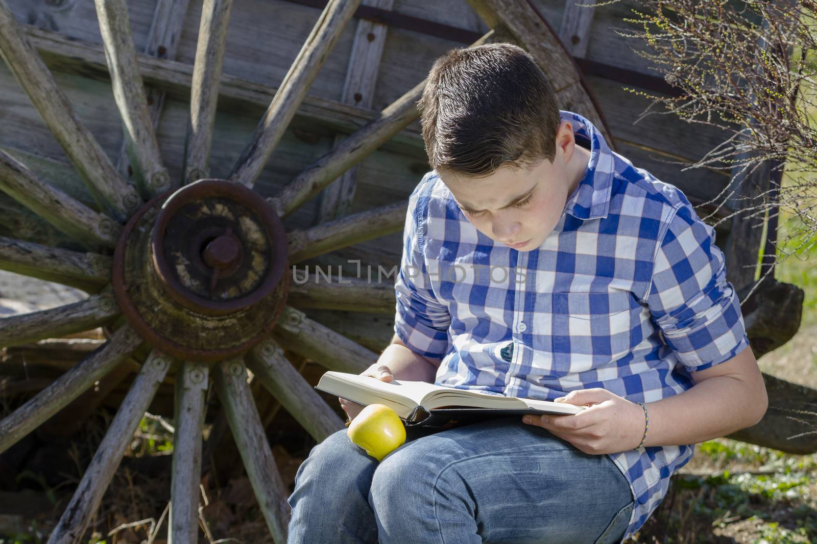 Cowboy young reading a book by FernandoCortes
