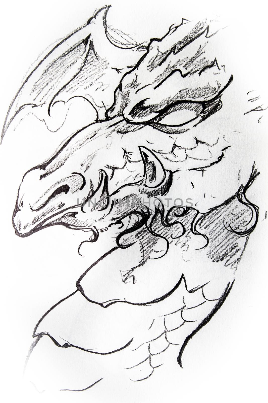 Medieval dragon sketch of tattoo by FernandoCortes