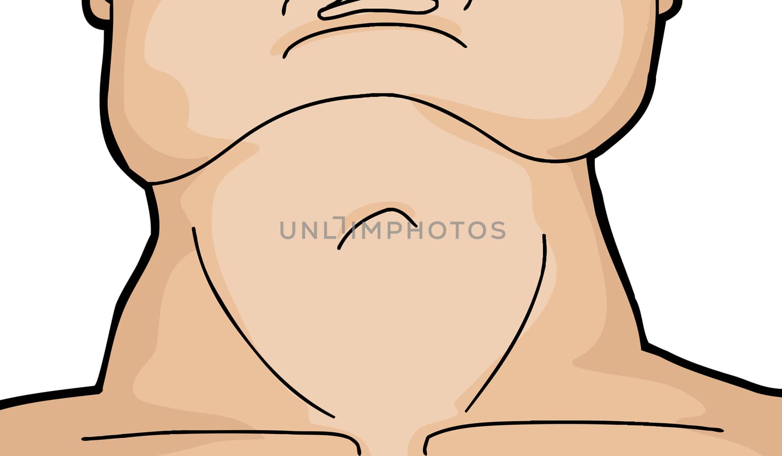 Close up of muscular neck and larynx over white background