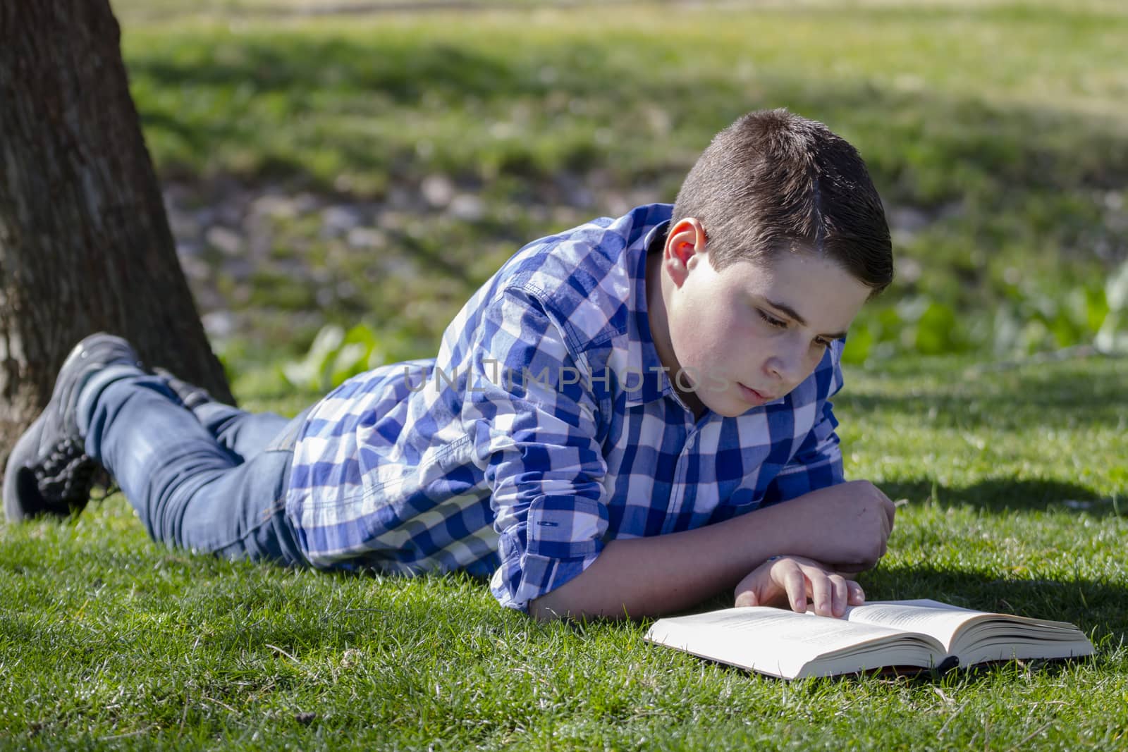 Young boy reading a book in the woods with shallow depth of field and copy space