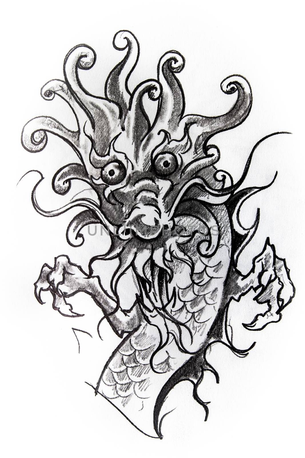 Japanese dragon sketch of tattoo by FernandoCortes