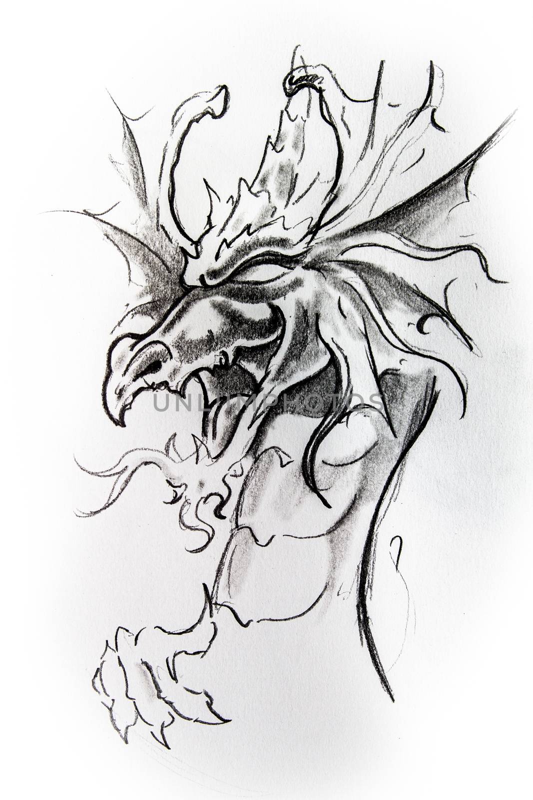 Dragon, sketch of tattoo by FernandoCortes