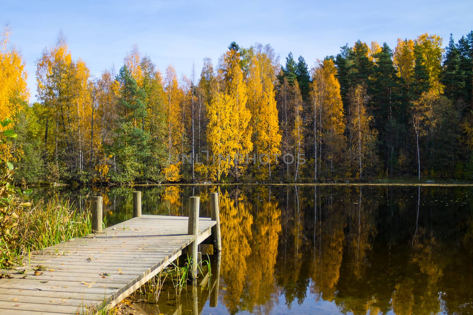 Autumn lake view with a pier
