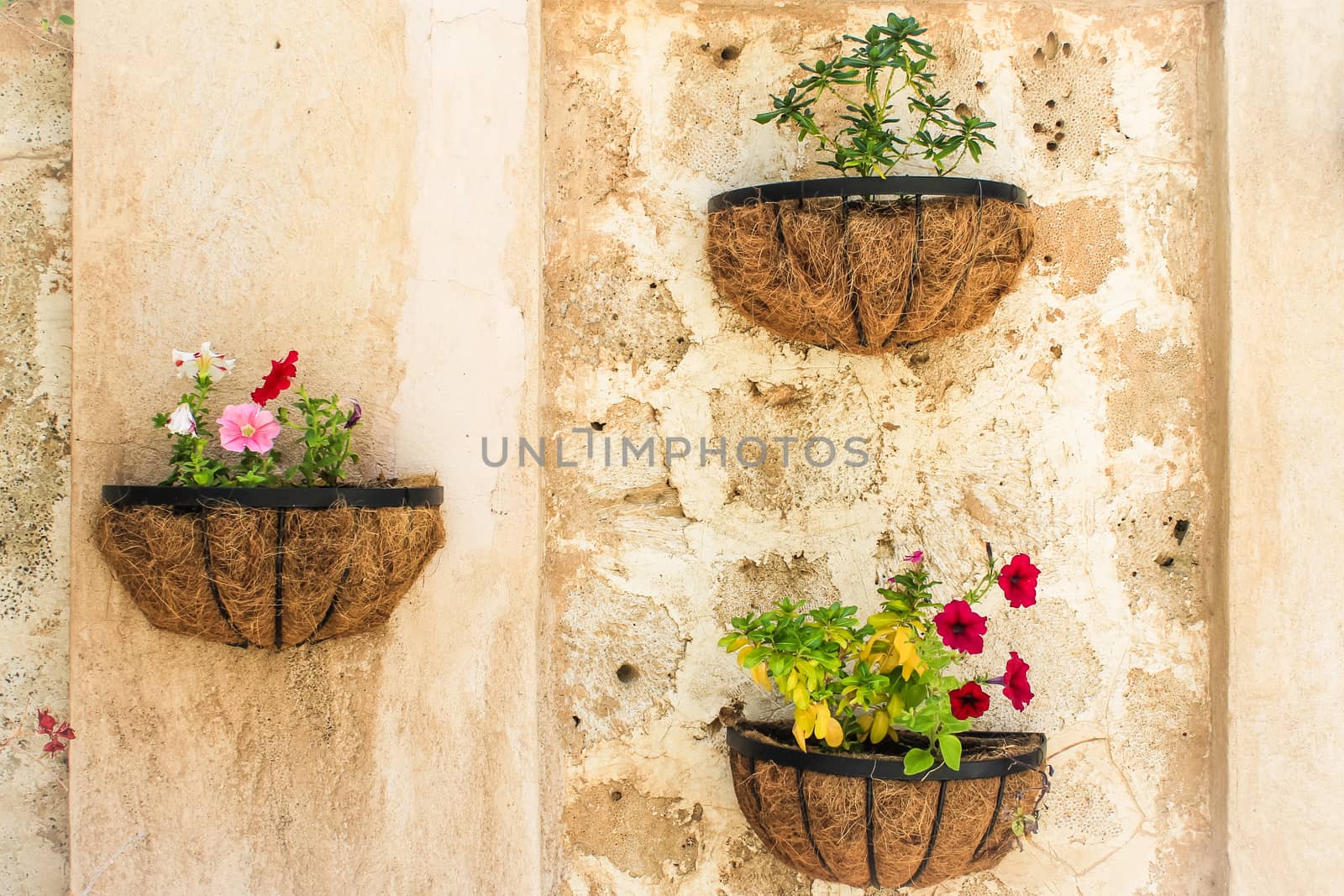 Flower decorations on an old stone wall