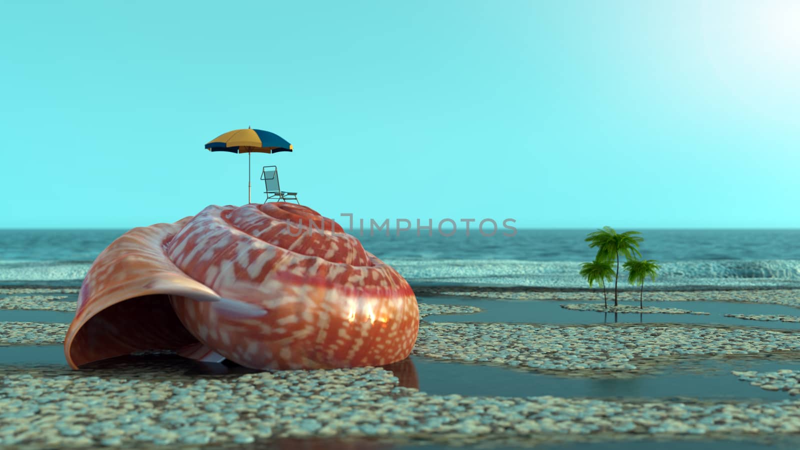Vacation relaxing conceptual background with shells on beach