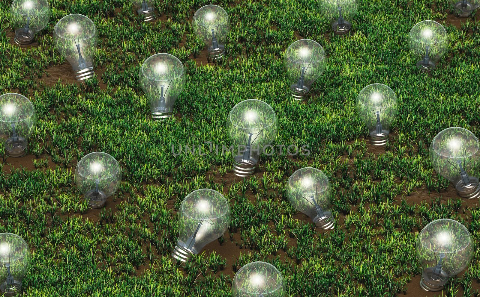 Cultivation of unlit light bulbs by TaiChesco