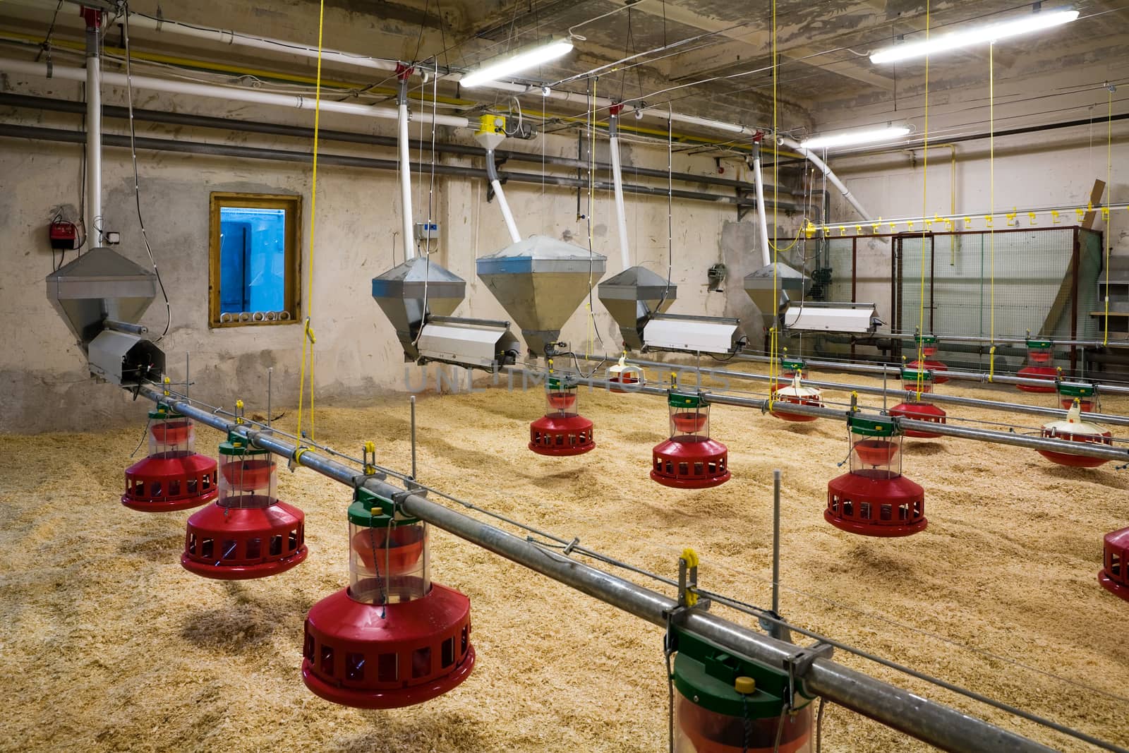 The modern and new automated integrated poultry farm