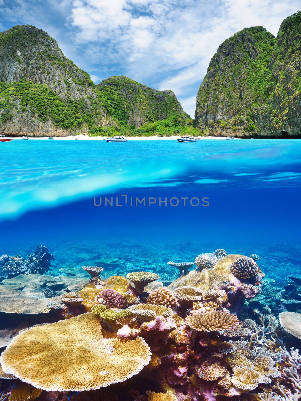 Lagoon with coral reef underwater view by haveseen