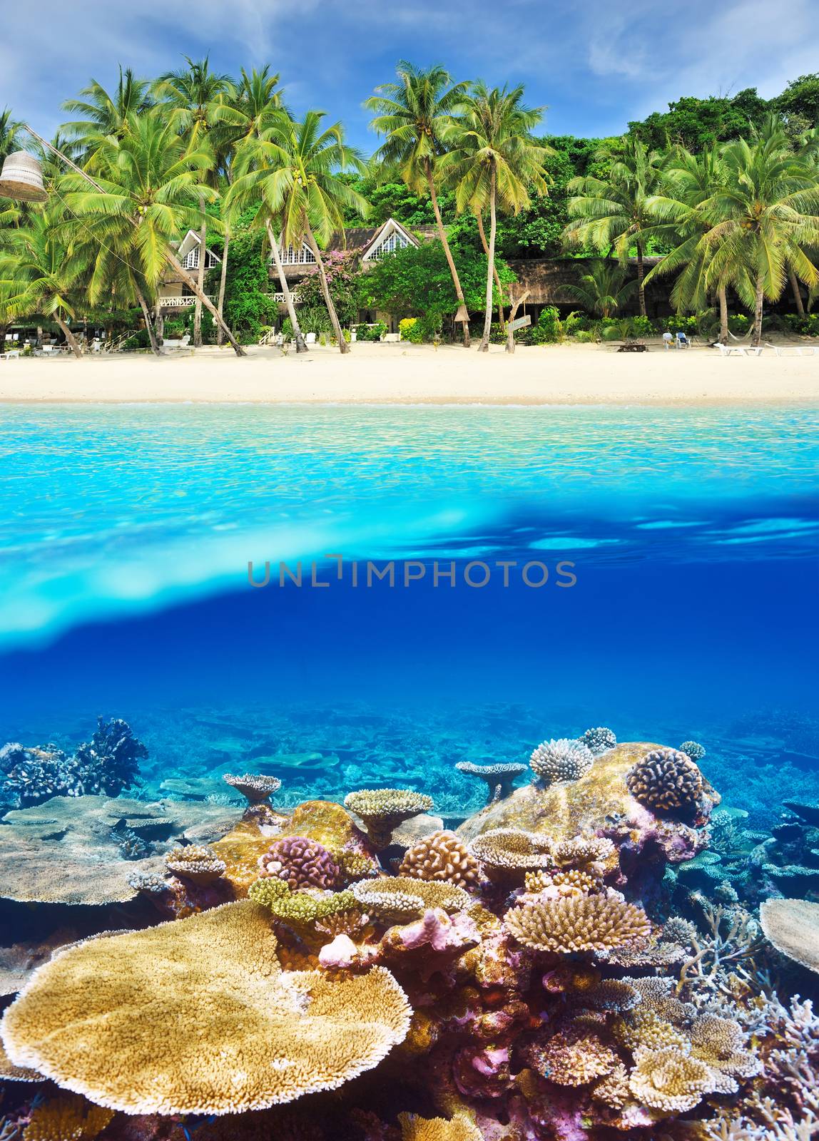 Beach with coral reef underwater view by haveseen