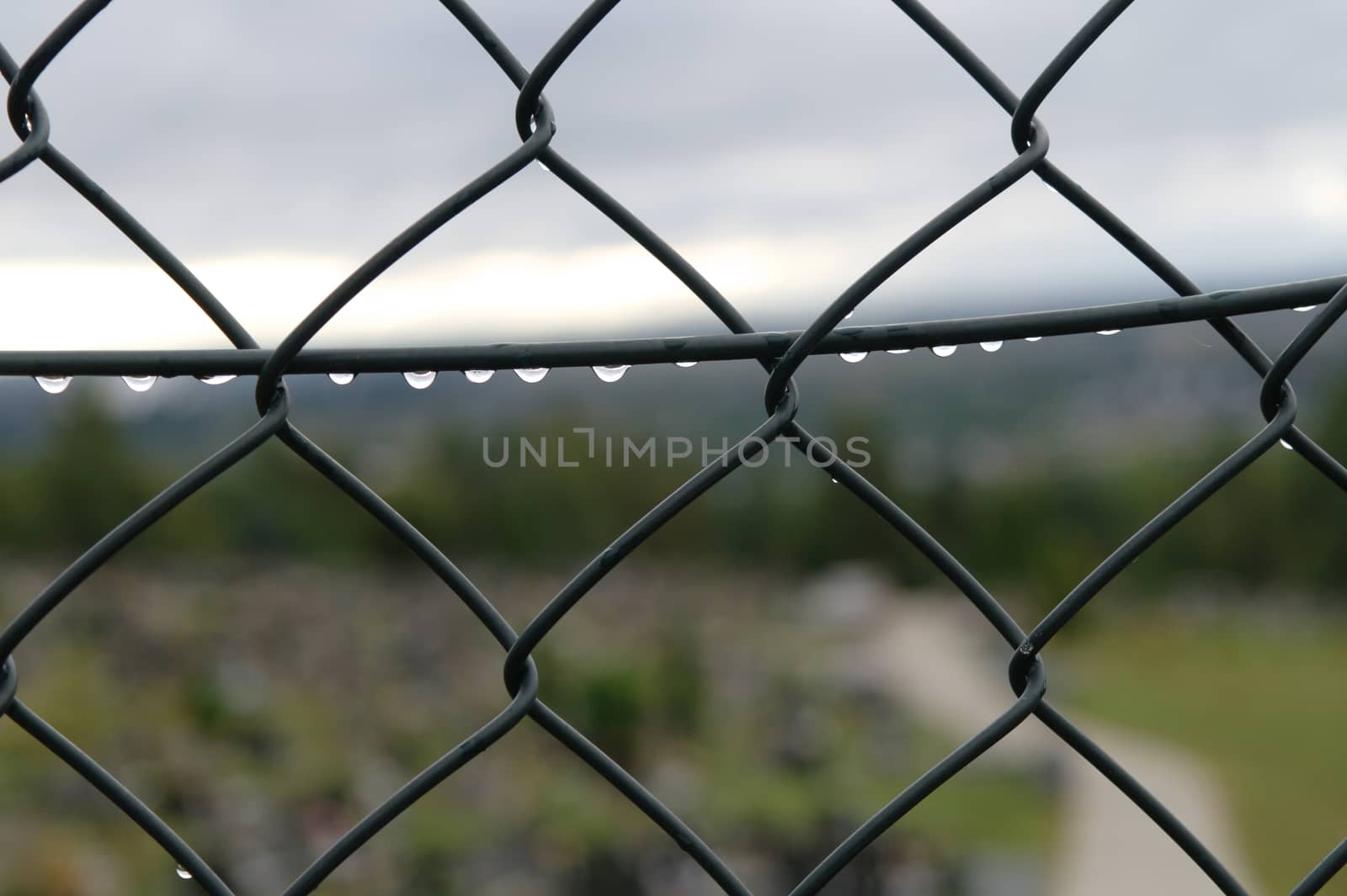 fence after rain in a cloudy day