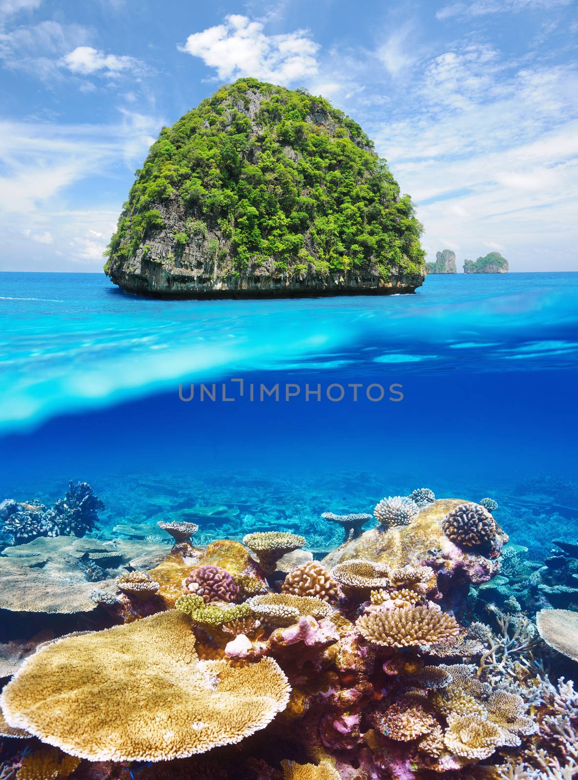 Uninhabited island with coral reef underwater view by haveseen