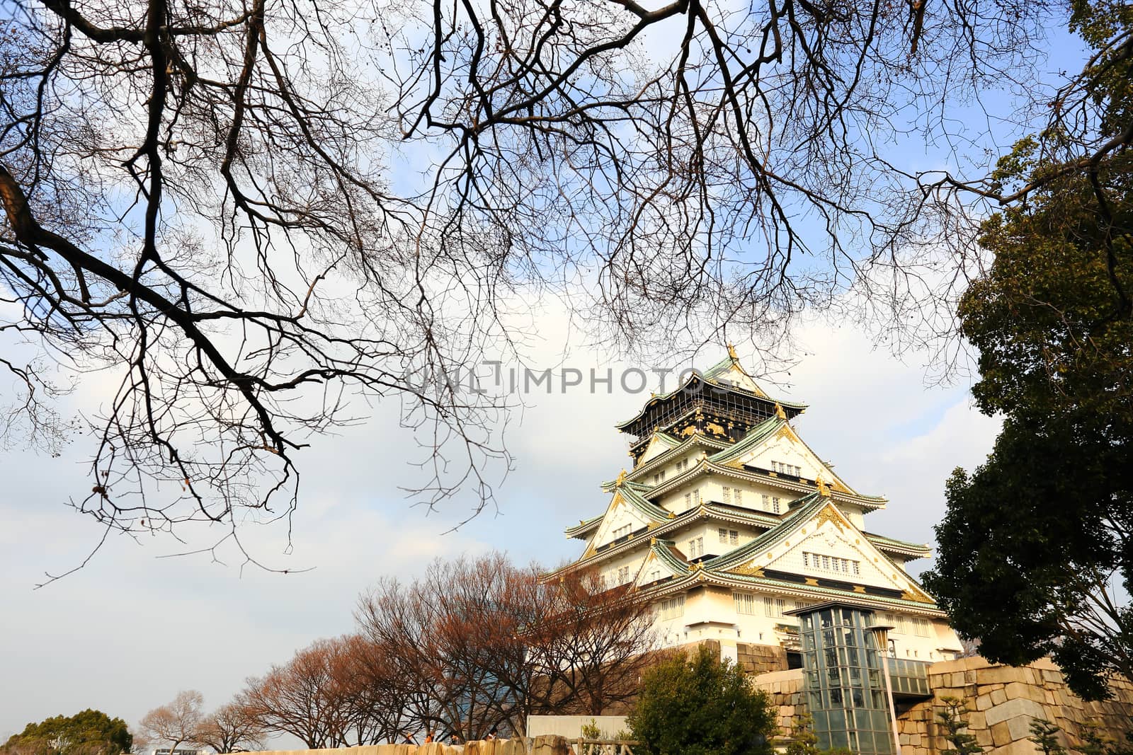 Osaka Castle in Osaka, Japan(winter season)