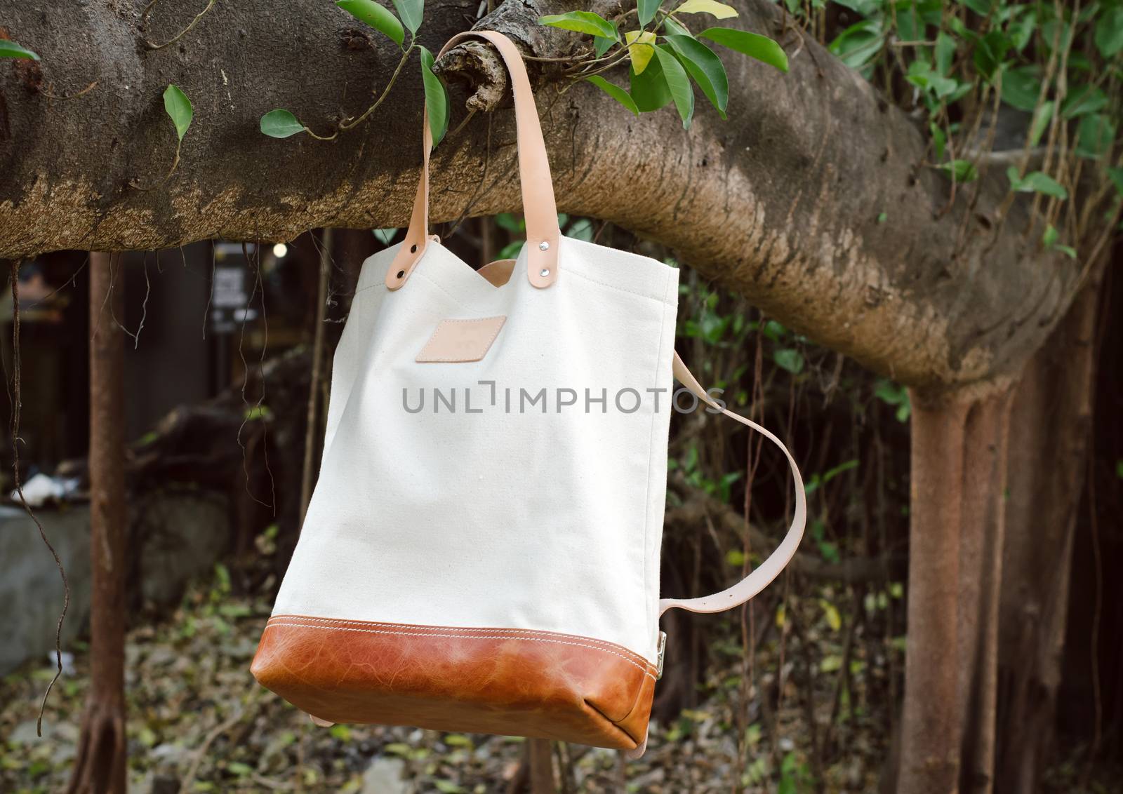 Leather Bags hang on banyan branch by siraanamwong