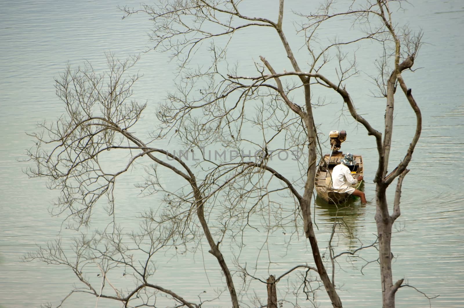 Dry tree on lake by xuanhuongho